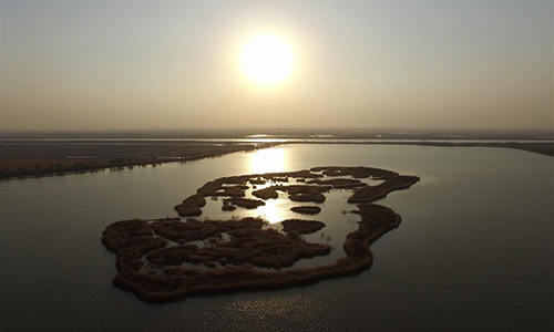 Photo taken on Nov. 15, 2016 shows the early winter scenery of the Qilihai Wetland in Tianjin, north China. (Xinhua/Yue Yuewei)