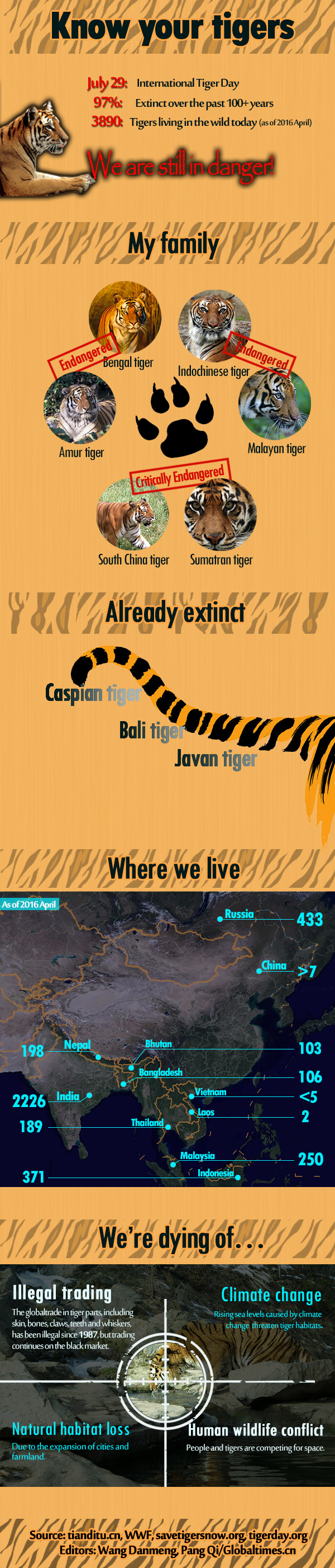 tiger info
