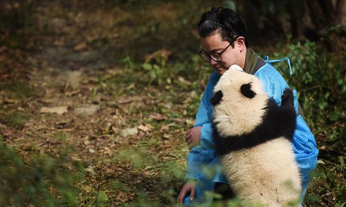 ‘Panda Dad’ China’s latest Internet celebrity