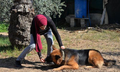 female dog trainers near me