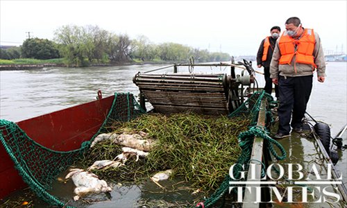 Employees%20from%20the%20Shanghai%20Water%20Authority%20salvage%20dead%20pigs%20on%20March%2013%20from%20the%20Huangpu%20River,%20which%20supplies%20Shanghai%20with%20some%20of%20its%20drinking%20water.%20The%20Water%20Authority%20sent%2036%20boats%20to%20participate%20in%20the%20salvage%20operation.%20Photo:%20Cai%20Xianmin/GT