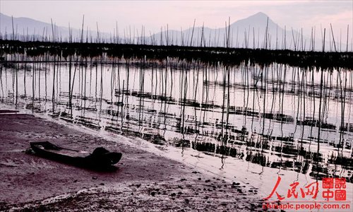 Xiapu mudflat scenery is as beautiful as a water-and-ink painting. (Chinapic.people.com.cn)