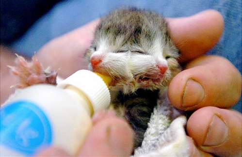 (Photo Source: huanqiu.com)