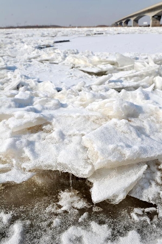 Photo taken on Jan. 21, 2013 shows the ice on the Yellow River near Yinchuan, capital of northwest China's Ningxia Hui Autonomous Region. More than 1,022 kilometers of the Yellow River's main stream were covered by floating ice due to the cold weather till Jan. 20. (Xinhua/Peng Zhaozhi)   