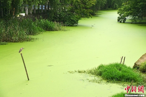 (Source: chinanews.com)
