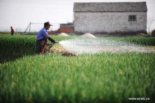 A farmer irrigates his field in Xinghua City, east China's Jiangsu Province, March 10, 2013. As weather warms up, farmers in Xinghua are busy with spring ploughing. (Xinhua/Shen Peng)