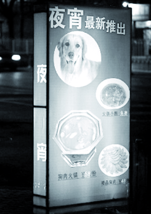 A dog hotpot ad installation with a golden retriever in it, drew fire on a Xicheng district restaurant. Photo: Web