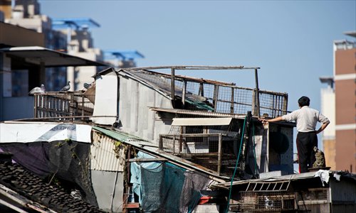 A ramshackle pigeon loft in an old neighborhood in Dongjiadu. Photo: Cai Xianmin/GT