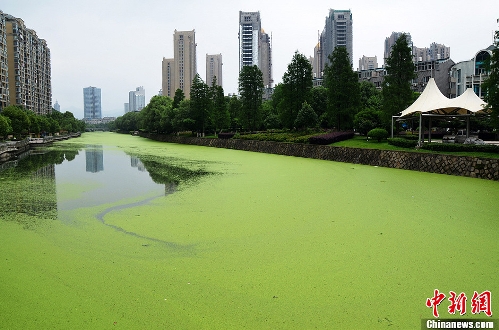 (Source: chinanews.com)