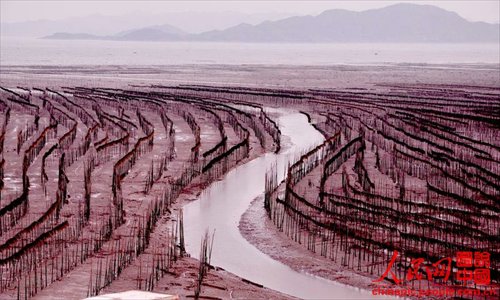 Xiapu mudflat scenery is as beautiful as a water-and-ink painting. (Chinapic.people.com.cn)