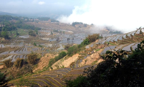 Photo taken on March 31, 2013 shows the scenery of terraced fields in Zhongzhai Village of Yuanyang County, Honghe Hani-Yi Autonomous Prefecture, southwest China's Yunnan Province. (Xinhua/Chen Haining) 