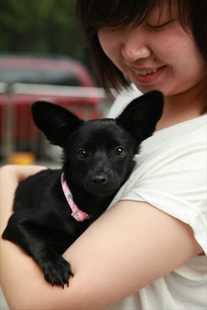A person seeking to adopt a pet cradles a dog during BAD's adoption day on Saturday.
