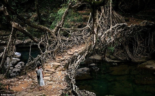 (Source: Huanqiu.com)