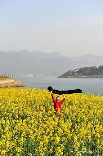 A visitor enjoys herself among rape flowers in Muyu Island of Maoping Town in Zigui County, central China's Hubei Province, March 3, 2013. (Xinhua/Wang Huifu) 