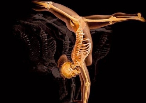 Stunning X-ray photos of human body - Global Times