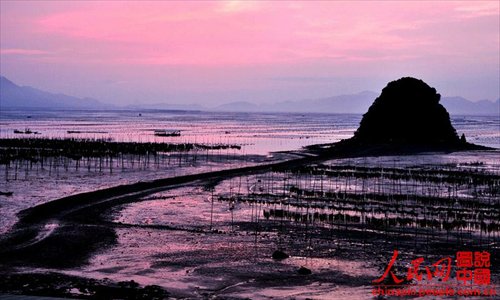 Xiapu mudflat scenery is as beautiful as a water-and-ink painting. (Chinapic.people.com.cn)