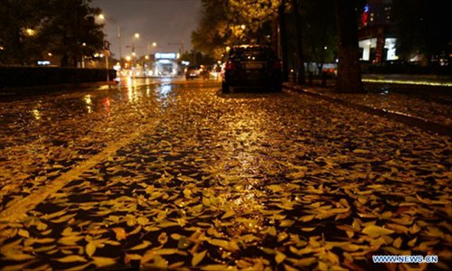 Photo taken on November 3, 2012 shows fallen leaves on a road near Xuanwumen of Beijing, capital of China. The cold wave that has swept northwestern China is moving eastward and is expected to bring blizzards to parts of northern China, the National Meteorological Center (NMC) forecast on Saturday. Heavy snow will hit Inner Mongolia, Hebei, Shanxi and the mountainous areas in western Beijing, according to a posting on the NMC website. The NMC has issued a blue warning on blizzards for Saturday, the lowest level in disaster alarm after yellow, orange and red. Photo: Xinhua