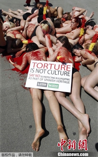 Animal rights activists pretending to be bulls stuck through with banderillas lie on the ground covered with mock blood during a protest against bullfighting in Barcelona May 23, 2013. The activists collected signatures to present to the government in protest against a draft law currently in parliament that would protect bullfighting as part of Spain's heritage and national interest. (Source: Chinanews.com)