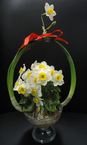 Wu Weiyi's prizewinning Chinese sacred lilies shaped as roosters, vases and cranes. Photo: Chen Xiaoru/GT 
