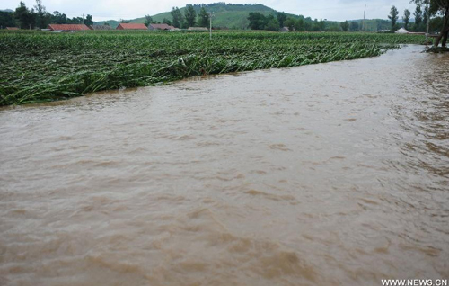 A farm is submerged by floodwaters in Daweizi village of Xiuyan County, northeast China's Liaoning Province, Aug. 5, 2012. Nearly 1.46 million people in Liaoning were affected by heavy rains and floods caused by Typhoon Damrey, authorities said Sunday. Photo: Xinhua