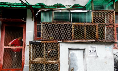 Pigeon lofts outside a house in Dongjiadu, Huangpu district. The area is now undergoing demolition and relocation. Photo: Cai Xianmin/GT
