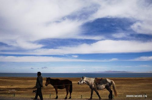 A herdsman walks by the Qinghai Lake in Northwest China's Qinghai Province, October 31, 2012. The Qinghai Lake, China's largest inland saltwater lake, measured 4,402.5 square km, according to the latest remote sensing survey. The figure was the largest in recent 12 years. Photo: Xinhua