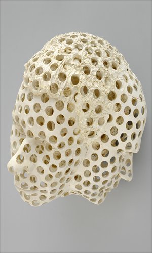 Tony Cragg's work on show at the exhibition, Sharing Photos: Courtesy of the museum