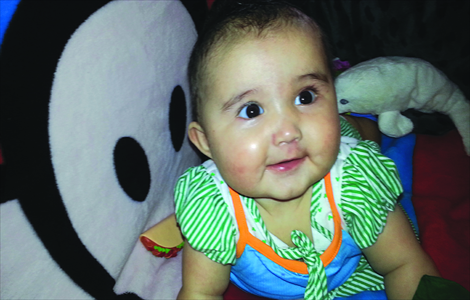 Lola Tatiana Ottery
Born: November 11, 2012
Heritage: Siberian and Anglo-Irish
Lola may appear cute, but don't be deceived: it's rumored she could kill a bear with her bare hands should the bear dare to look at her beloved mashed banana. Photo: Courtesy of Carlos Ottery