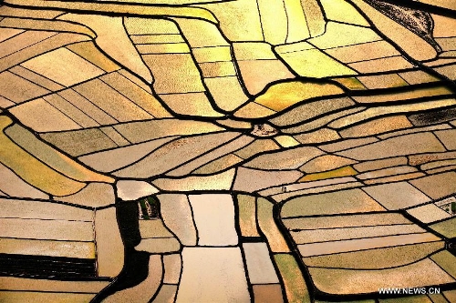 This bird eye view shows paddy fields in golden sunlight at Jiangping Village of Wuzhuan Town in Donglan County, southwest China's Guangxi Zhuang Autonomous Region on April 4, 2013. (Xinhua/Zhou En'ge)