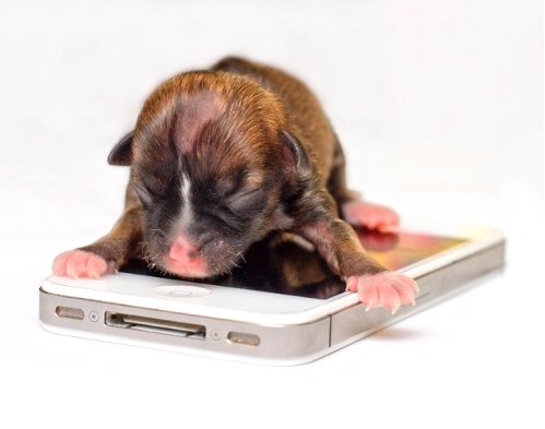 (Photo Source: huanqiu.com)