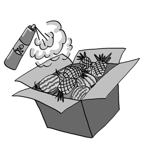 Illustration: Chen Xia/GT