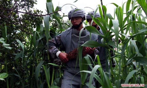 Two members of China's eighth peacekeeping sapper unit to Lebanon carry out a bomb disposal task at the Lebanese side of the Lebanon-Israel border, May 13, 2011. Over the two decades since it sent its first peacekeeping troop to Cambodia in April 1992, China has participated in more than 20 UN peacekeeping missions, dispatching a total of 20,000 soldiers. There are now nearly 2,000 Chinese peacekeepers carrying out their tasks in 12 peacekeeping missions. Chinese peacekeeping troops are formed by members of the People's Liberation Army (PLA), which will celebrate its 85th founding anniversary on August 1, 2012. Photo: Xinhua