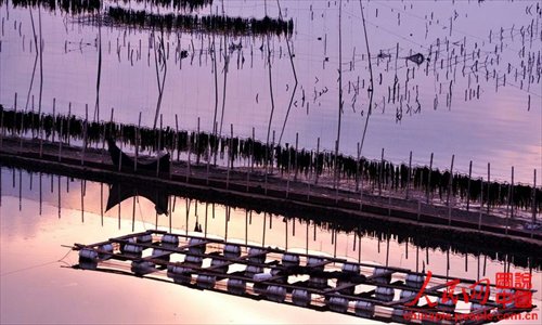 Xiapu mudflat scenery is as beautiful as a water-and-ink painting. (Chinapic.people.com.cn)