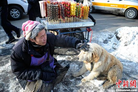 Big Yellow’s owner pets him while taking a break. Photo: Chinanews.com