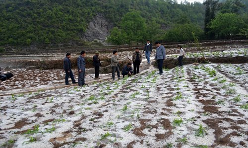 Civil affairs officials in Guizhou Province assess economic losses caused following a severe hailstorm  Tuesday. The hail hit the central, south central and southeast parts of the province from Monday to Tuesday disturbing local traffic and power services, and affecting agricultural production. Photo: CFP