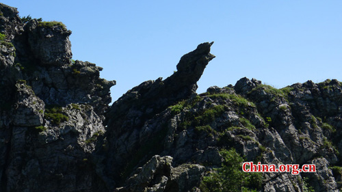 Shennongjia locates at the confluence of Yangtze river and Han river, the border between Sichuan and Hubei province. It is boasted as the ridge of central China and the only oasis lies at 30 degree north latitude. Photo: China.org.cn