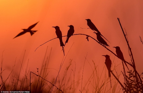 Photographer Andrew Schoeman, 40, captured this stunning collection of images across South Africa. (Photo Source: huanqiu.com)