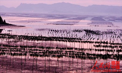 Xiapu mudflat scenery is as beautiful as a water-and-ink painting. (Chinapic.people.com.cn)
