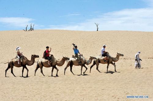Tourists ride camels in the Sand Lake scenic area in Yinchuan, capital of Northwest China's Ningxia Hui Autonomous Region, July 13, 2012. China's total tourism revenues reached 1,280 billion yuan ($202 billion) in the first half of this year, 17.3 percent up compared to last year, according to figures of the National Tourism Administration. Photo: Xinhua
