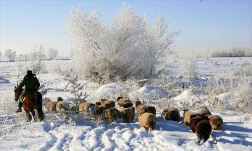 A herdsman grazes livestock at Xemirxek Town, Altay City, northwest China's Xinjiang Uygur Autonomous Region, Dec. 6, 2012. Affected by the heavy snow and low temperature, Altay City received rime on Thursday. Photo: Xinhua 