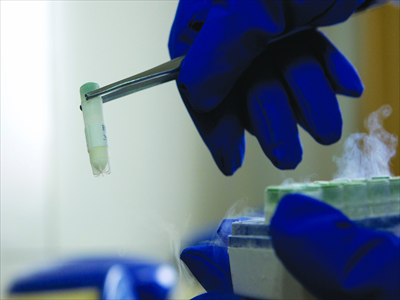 Storing a test tube of frozen semen. Photo:CFP