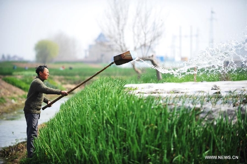 A farmer waters his field with a shovel in Xinghua City, east China's Jiangsu Province, March 10, 2013. As weather warms up, farmers in Xinghua are busy with spring ploughing. (Xinhua/Shen Peng)