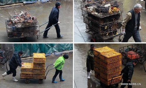 The combined photo taken on April 5, 2013 shows workers take encased live poultry out of the Sanguantang poultry and egg market in Shanghai, east China. The government of Shanghai Municipality said on Friday sales of live poultry will be suspended in the municipality from April 6 as the H7N9 strain of avian influenza has sickened 14 people and killed six. (Xinhua/Ding Ting)