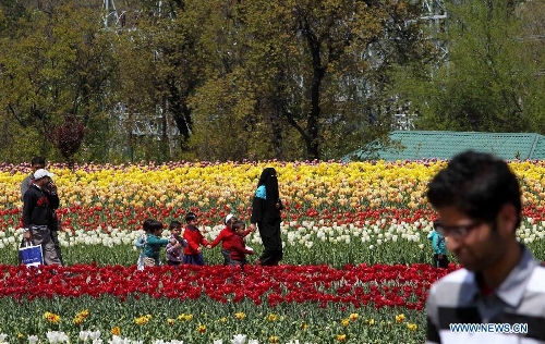  Tourists stroll along the beds of tulips at a tulip garden in Srinagar, summer capital of Indian-controlled Kashmir, April 13, 2013. The Tulip Garden in Indian-controlled Kashmir, claimed to be Asia's largest, has become the prime attraction for tourists home and abroad. Since April this year, over 75,000 tourists have visited the garden to see tulips, officials said. (Xinhua/Javed Dar) 