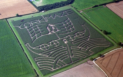 York Maze (Photo Source: forum.news.cn)