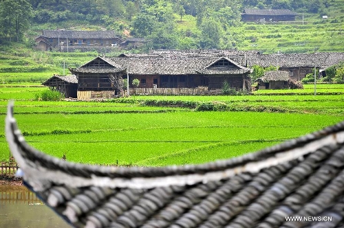 Photo taken on June 16, 2013 shows the wooden Diaojiaolou, or stilted houses in Shiyanping Village, Wangjiaping Township of Zhangjiajie City in central China's Hunan Province. The Shiyanping Village, located in the southeast of Wangjiaping, is one of the regions in Hunan where stilted houses are well preserved. With a toal of 182 existing stilted houses of the Tujia ethnic group, the village was listed as the seventh batch of important heritage sites under state protection in 2013. (Xinhua/Shao Ying)