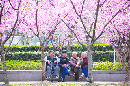 Four old people take a rest at the Jing'an Sculpture Park in Shanghai.Photo: CFP