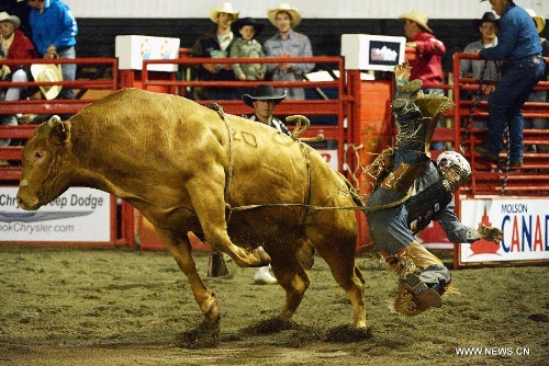 Skyler McBride of Canada competes in Bull Riding category at the annual Cloverdale Professional Rodeo 2013 in Cloverdale, BC, Canada, May 17, 2013. In 1984 the Cloverdale Rodeo was voted the Number One Performance Rodeo in North America by the Professional Rodeo Cowboy's Association. Today the Cloverdale Rodeo & Exhibition is the second largest community rodeo in Canada, attracting competitors and spectators worldwide. (Xinhua/Sergei Bachlakov) 