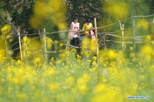 Tourists enjoy themselves in a cole flower field in Liuzhou City, southwest China's Guangxi Zhuang Autonomous Region, March 6, 2013. (Xinhua/Li Hanchi) 
