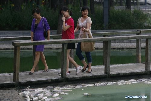 Citizens walk on a bridge as dead fish float at the south lake in Wuhan, capital of Central China's Hubei Province, July 15, 2012. Large amout of dead fish showed up at the south lake of Wuhan recently. For several years, the dumping of sewage water and gabage made the environment of the lake worse and worse. Photo: Xinhua